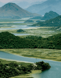 Raja Ampat  Indonesia